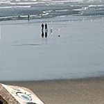 IMG_1129 site de la Torche 29